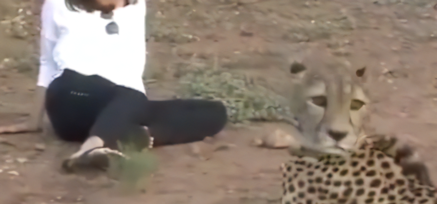 【川口春奈】定期的に見たくなる川口春奈さんの揺れパイパイｗｗ