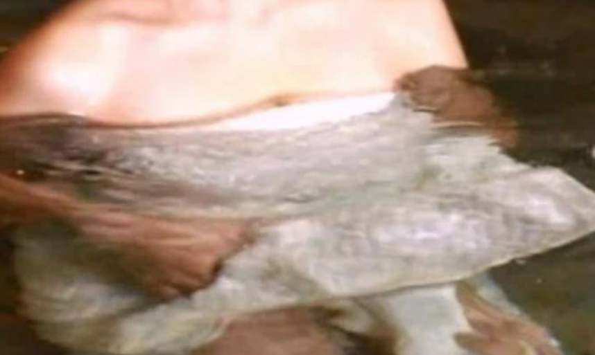 【中村静香】中村静香さんの入浴シーンで○○が見えてしまう放送事故が発生してしまうｗｗ